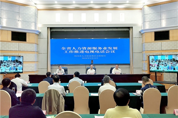 全省人力资源服务业发展工作推进电视电话会议召开 人力资源服务成为高质量发展新引擎
